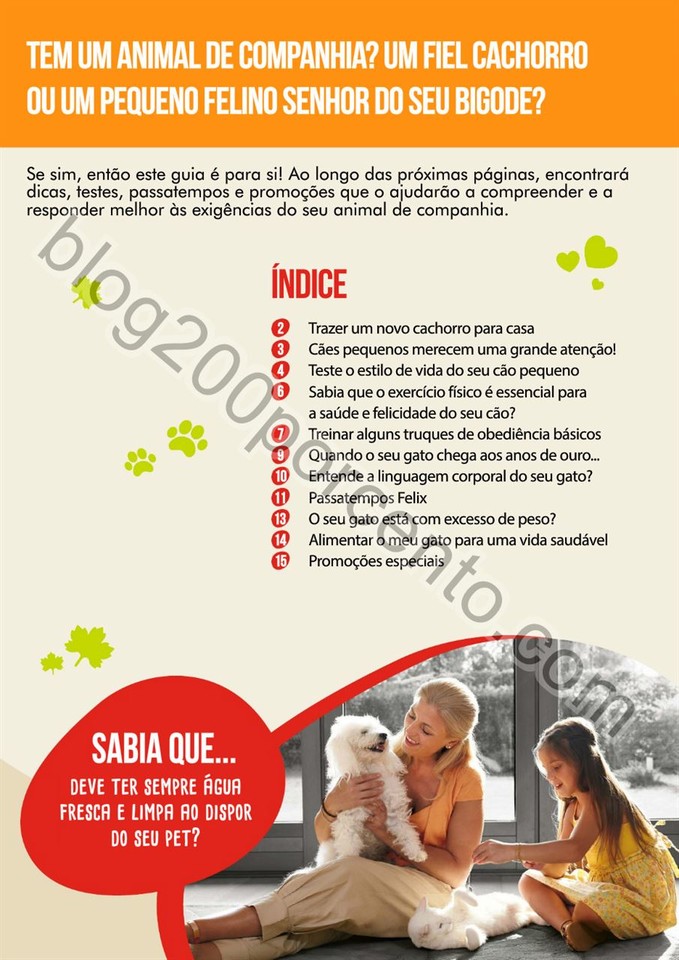 pingo doce pets 2.jpg