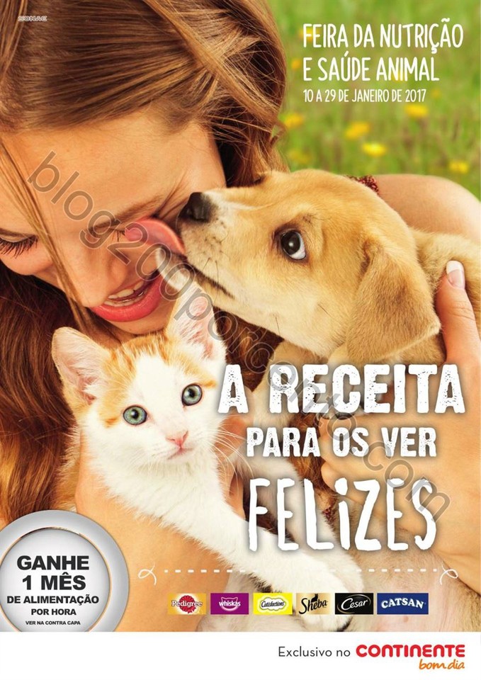 Antevisão Folheto CONTINENTE - Bom Dia feira anim