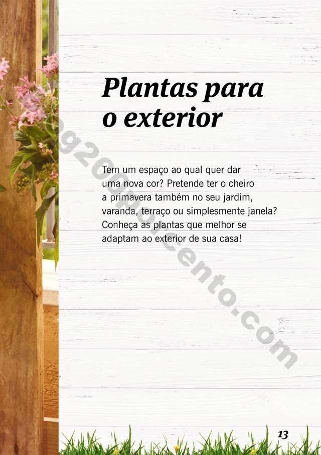 mercado plantas 16 maio_012.jpg