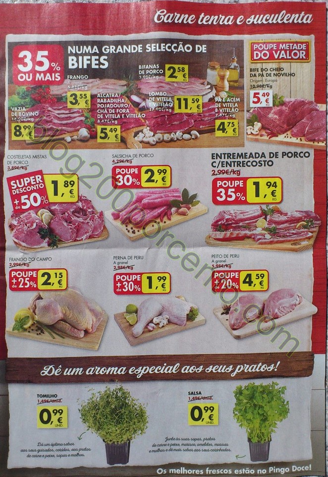 pingo doce 8 14 marco_7.jpg