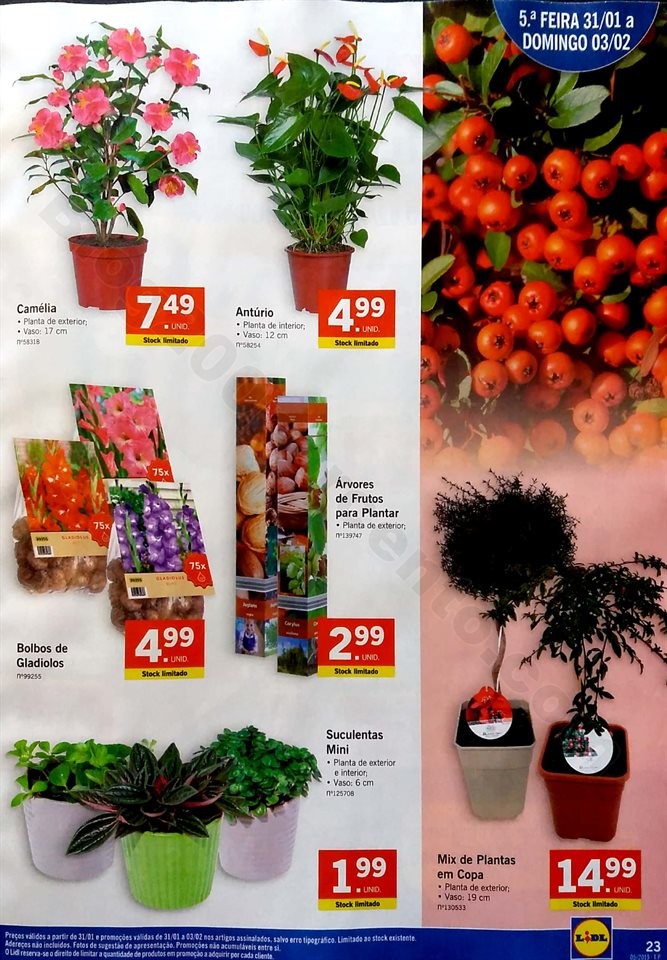 folheto lidl 28 janeiro a 3 fevereiro_23.jpg