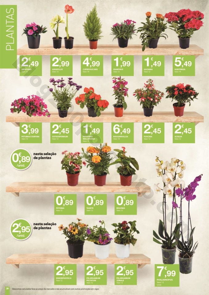 ar livre e-leclerc_019.jpg