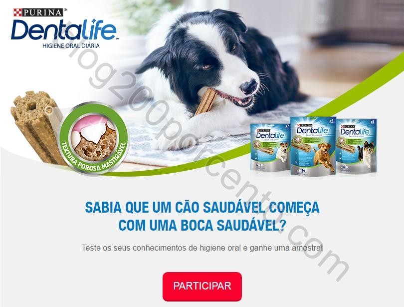 purina.jpg