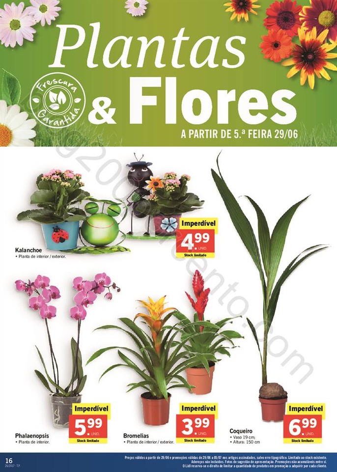 Promo_es_v_lidas_a_partir_de_29_06_2017_Mais_para_