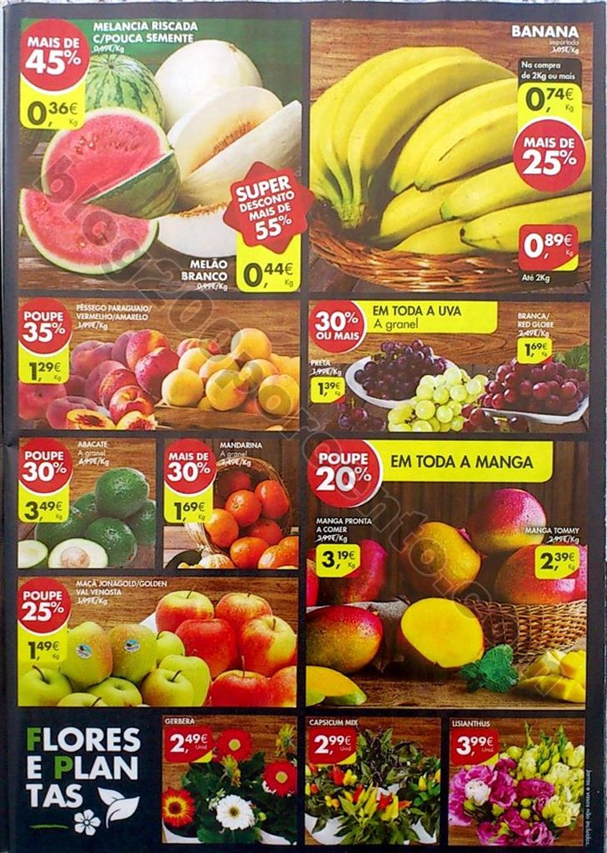 esta semana pingo doce_3.jpg