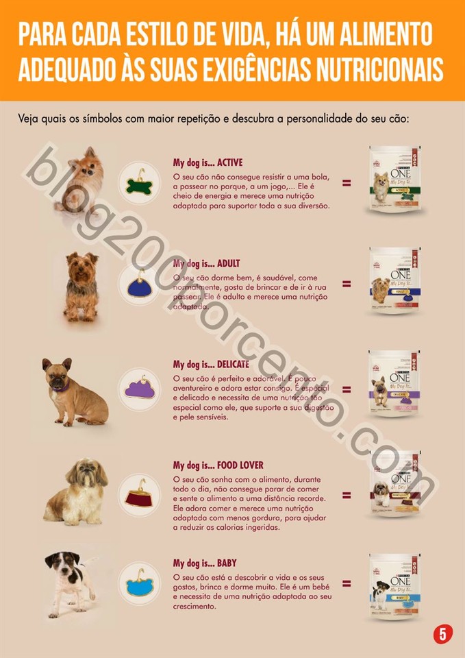 pingo doce pets 6.jpg