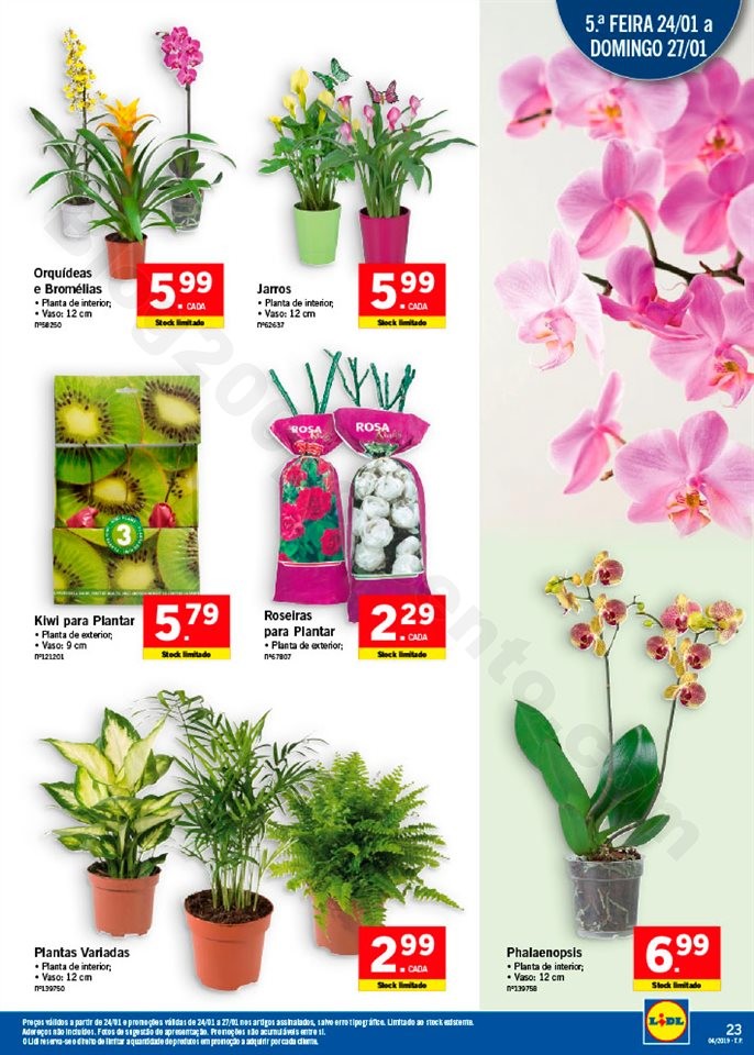 lidl alimentar 21 janeiro_022.jpg