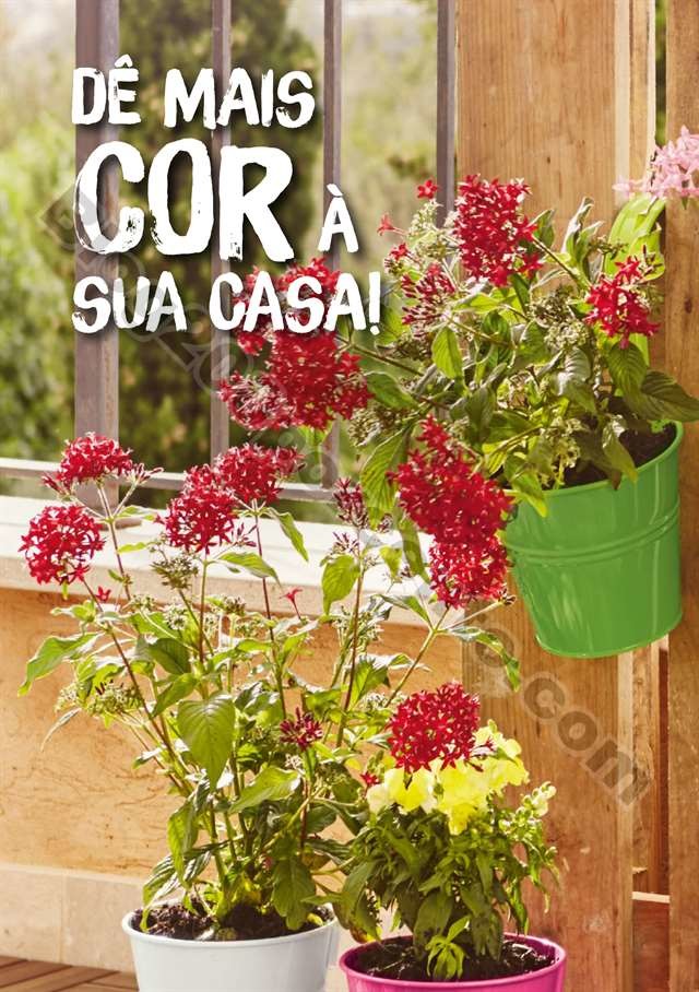 mercado plantas 16 maio_011.jpg