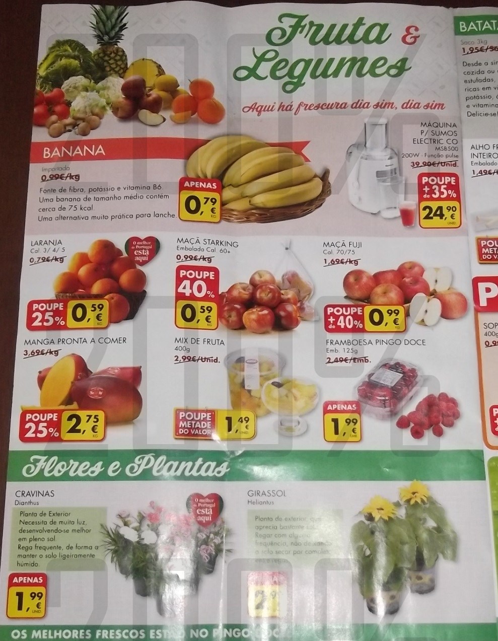 Antevisão folheto | PINGO DOCE | de 25 a 31 março - 1ª Parte