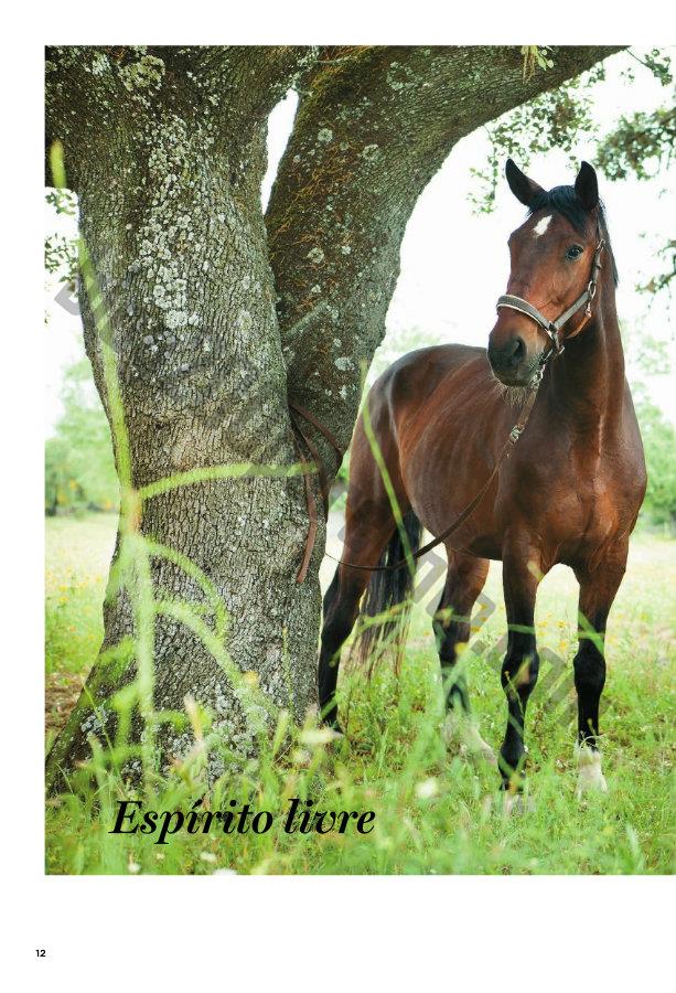 Novo Catalogo PINGO DOCE - CODE Verão 2015 p12.jp