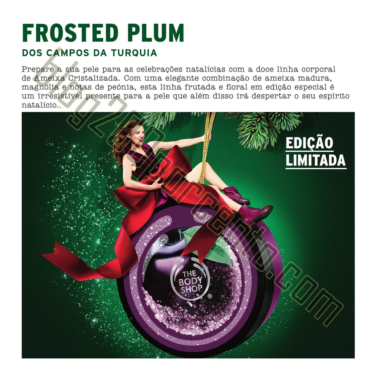 Novo Folheto THE BODY SHOP Natal 2015 p4.jpg