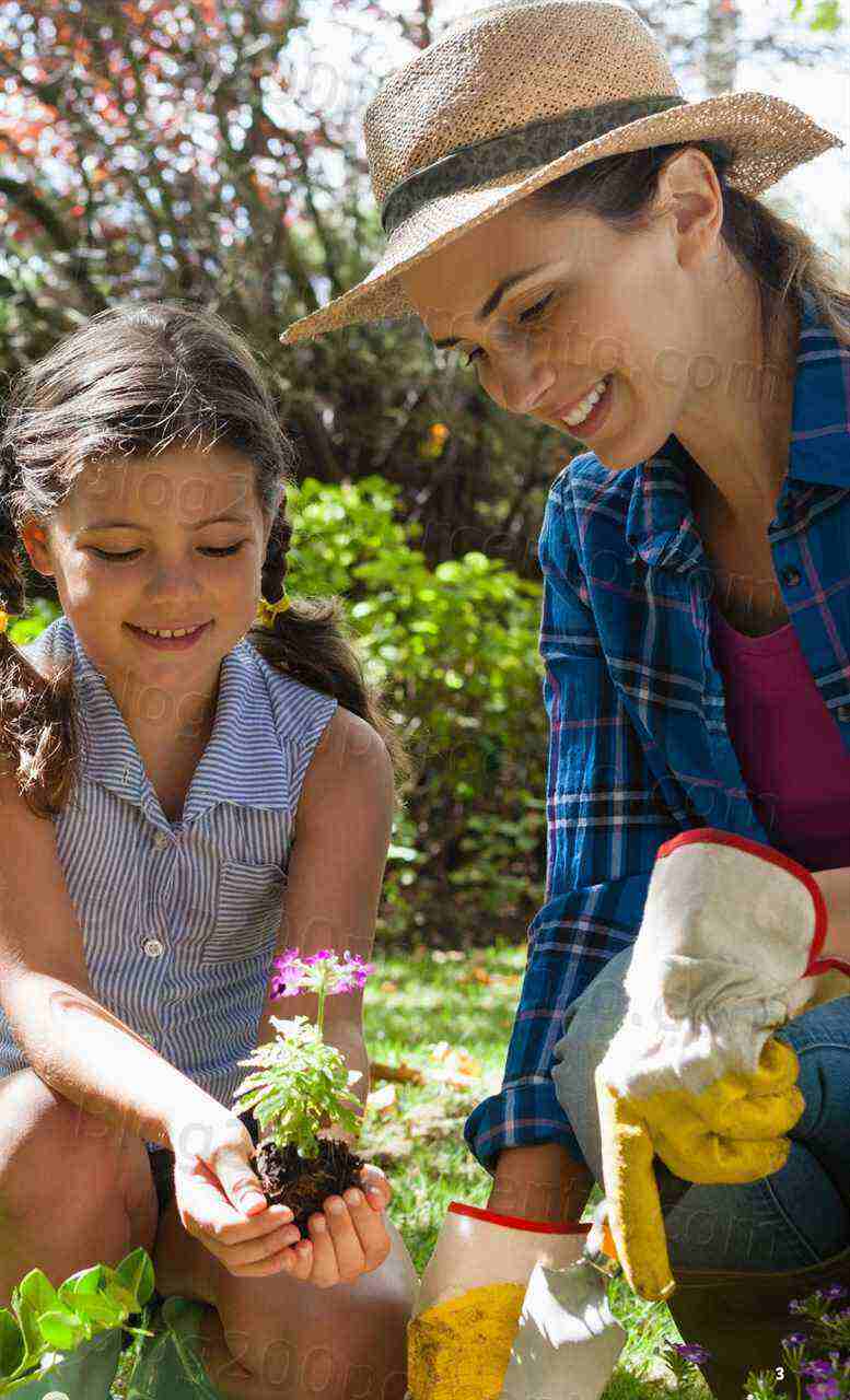 Antevisão Folheto LIDL Especial Jardim Promoções a partir de 2 março
