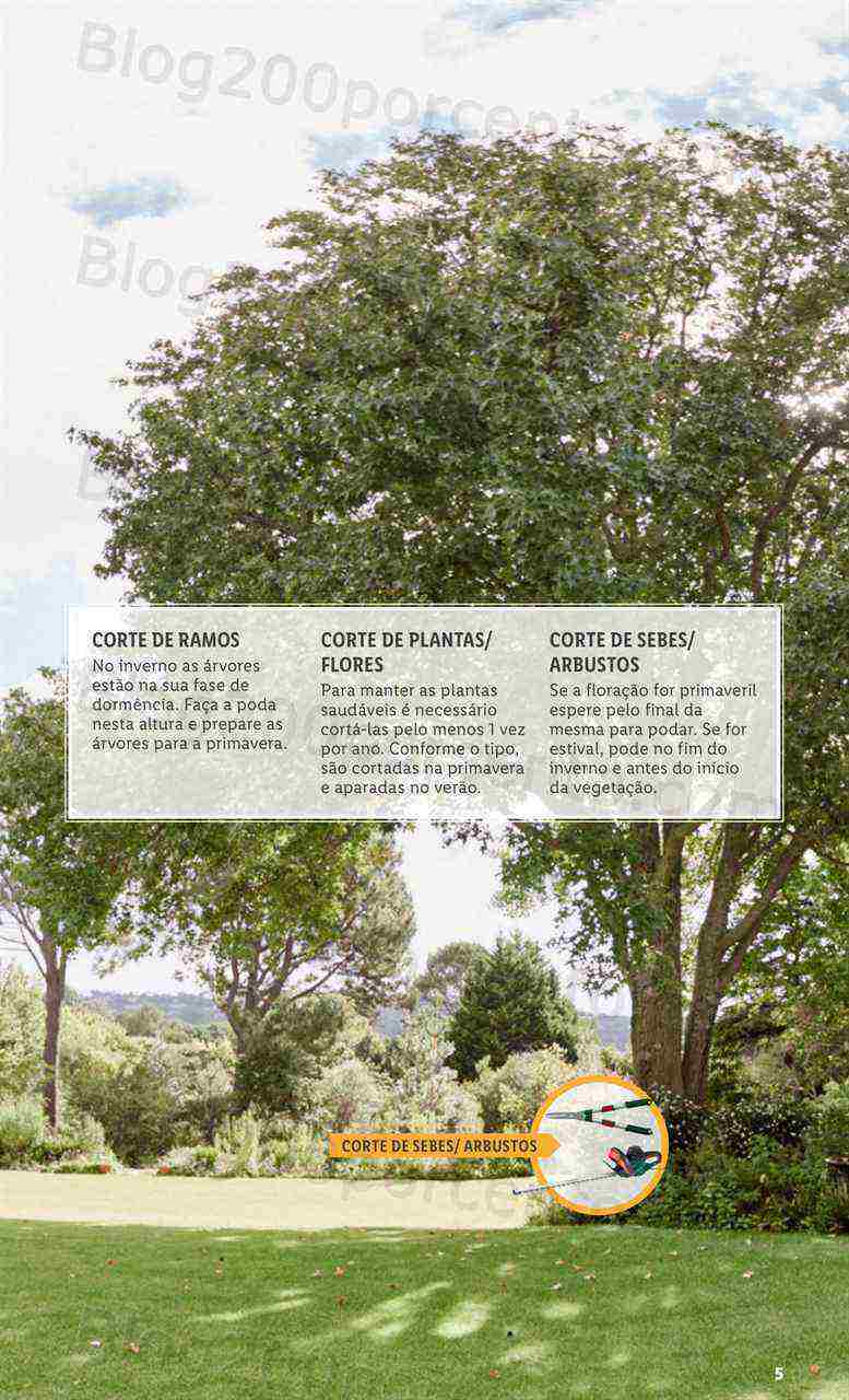 Antevisão Folheto LIDL Especial Jardim Promoções a partir de 2 março