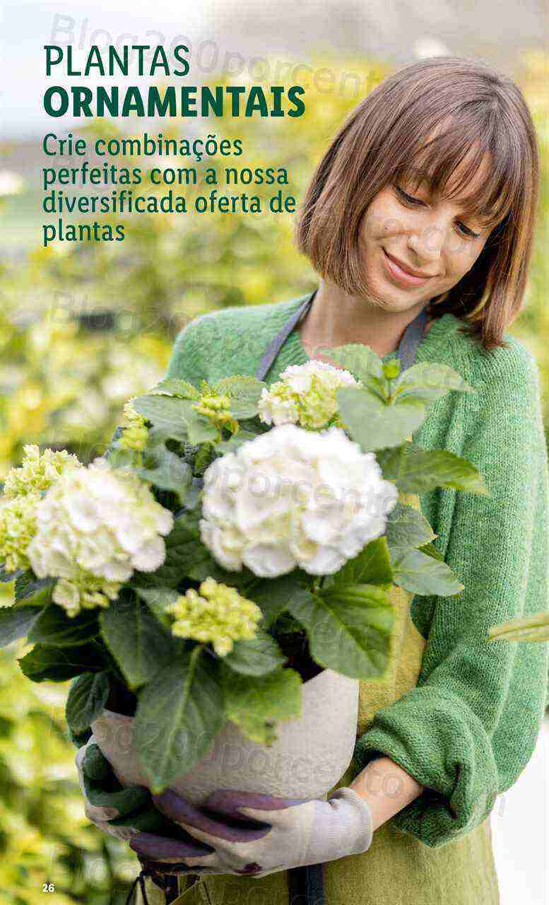 Antevisão Folheto LIDL Especial Jardim Promoções a partir de 2 março