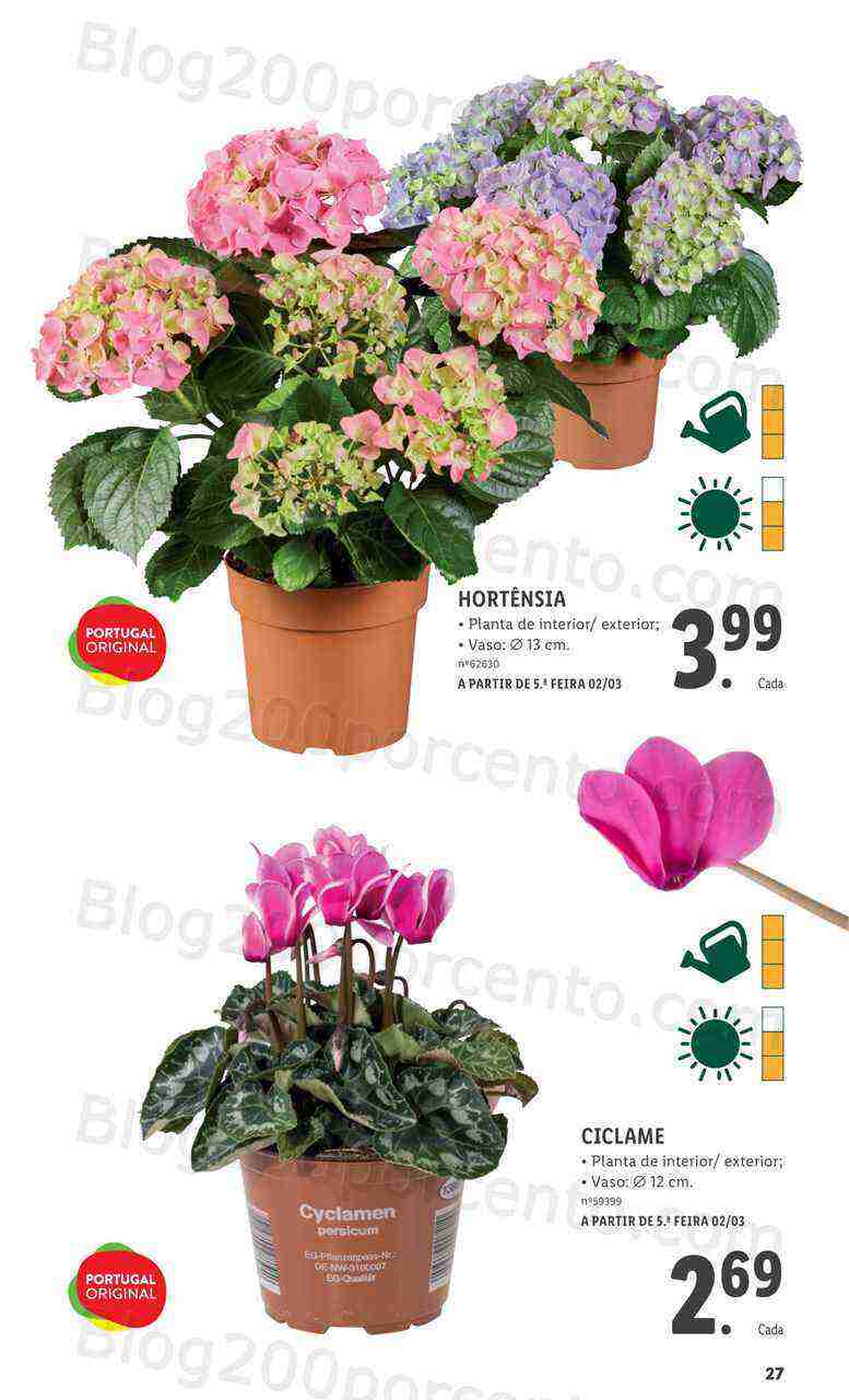 Antevisão Folheto LIDL Especial Jardim Promoções a partir de 2 março