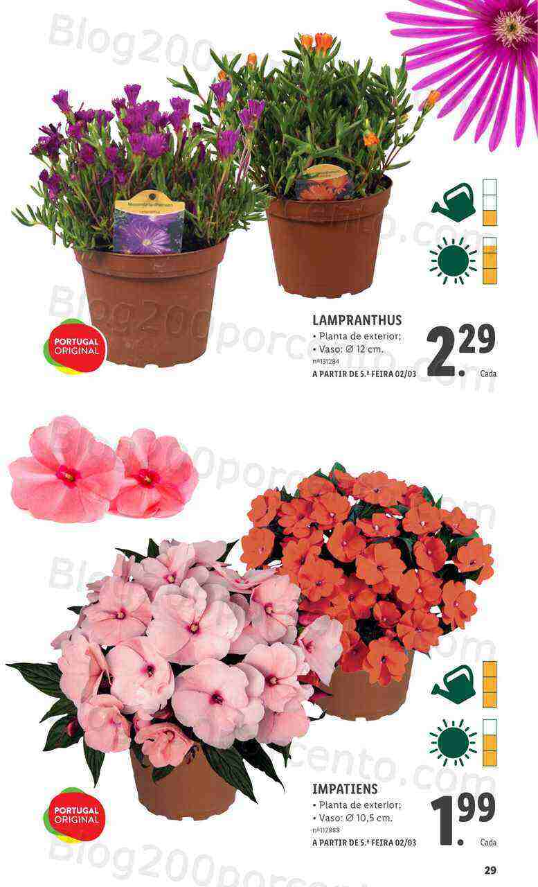 Antevisão Folheto LIDL Especial Jardim Promoções a partir de 2 março