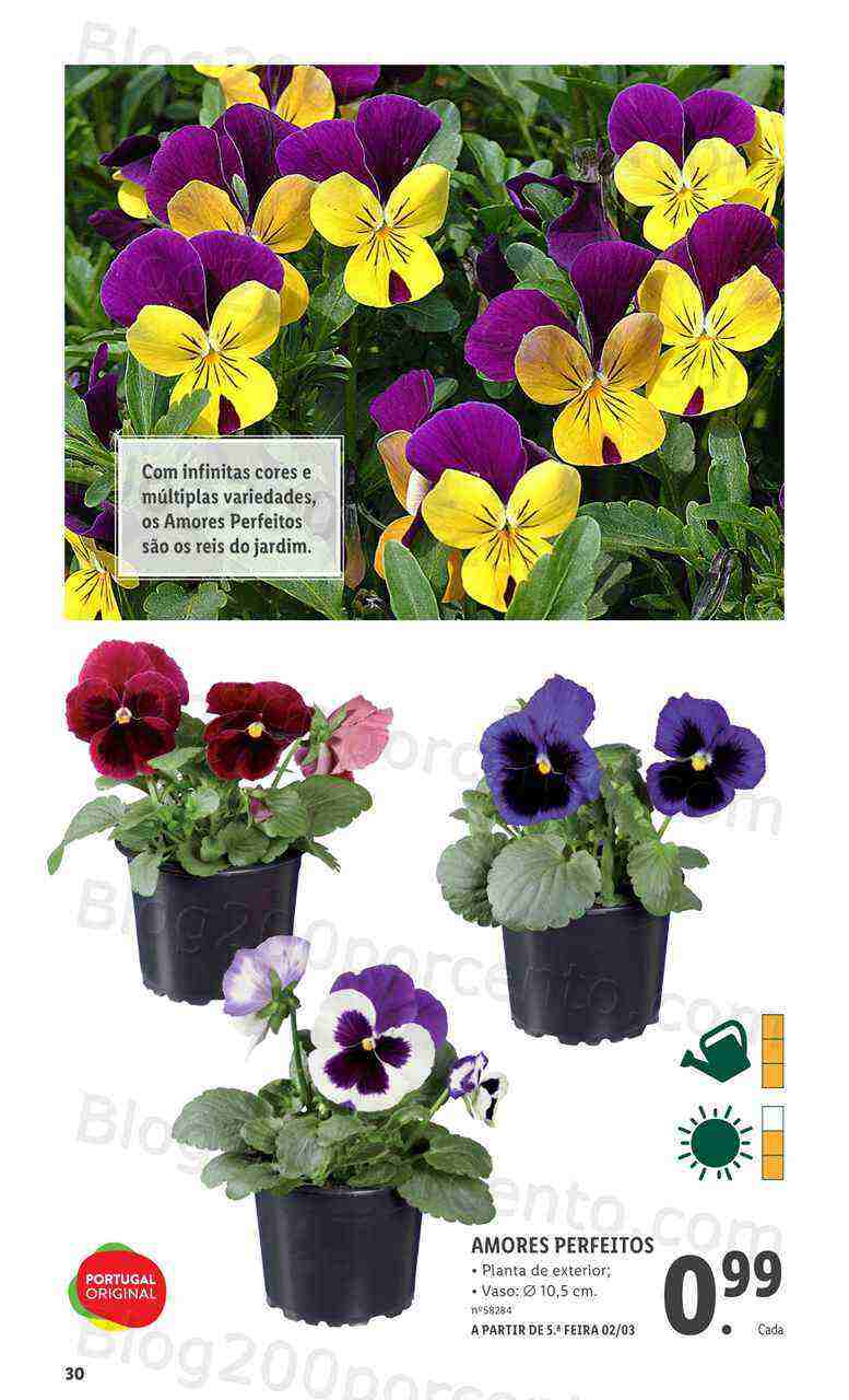 Antevisão Folheto LIDL Especial Jardim Promoções a partir de 2 março