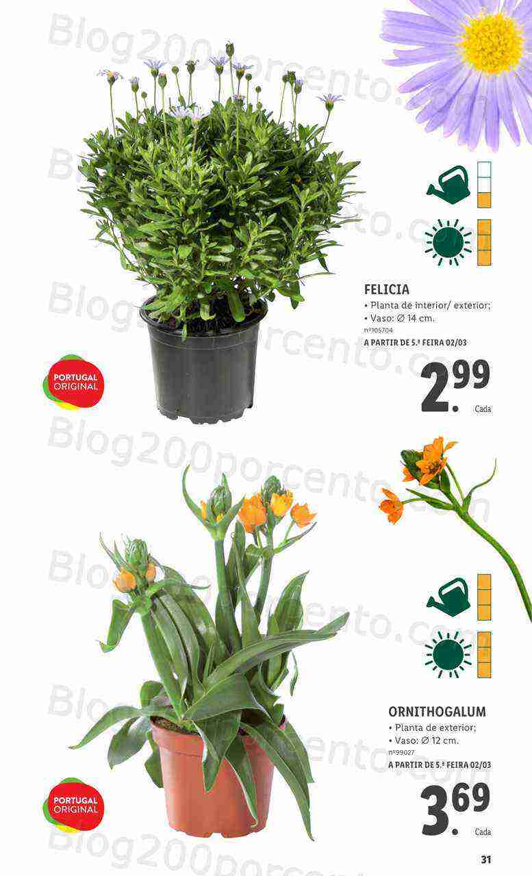 Antevisão Folheto LIDL Especial Jardim Promoções a partir de 2 março