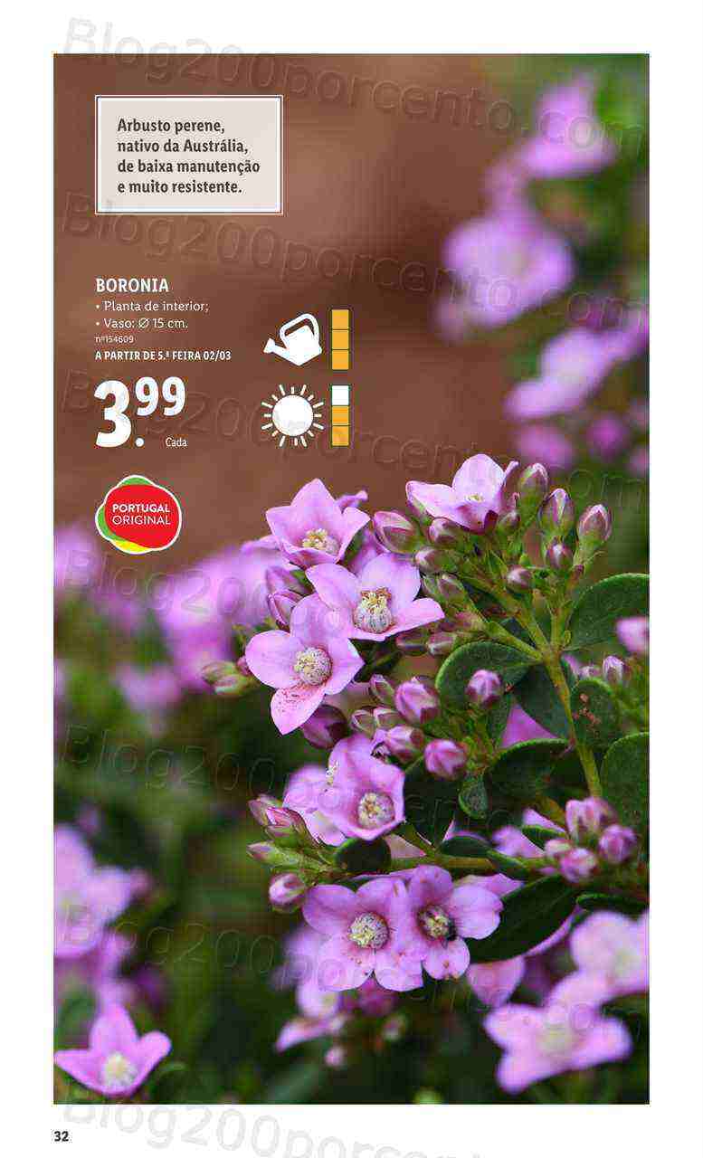 Antevisão Folheto LIDL Especial Jardim Promoções a partir de 2 março