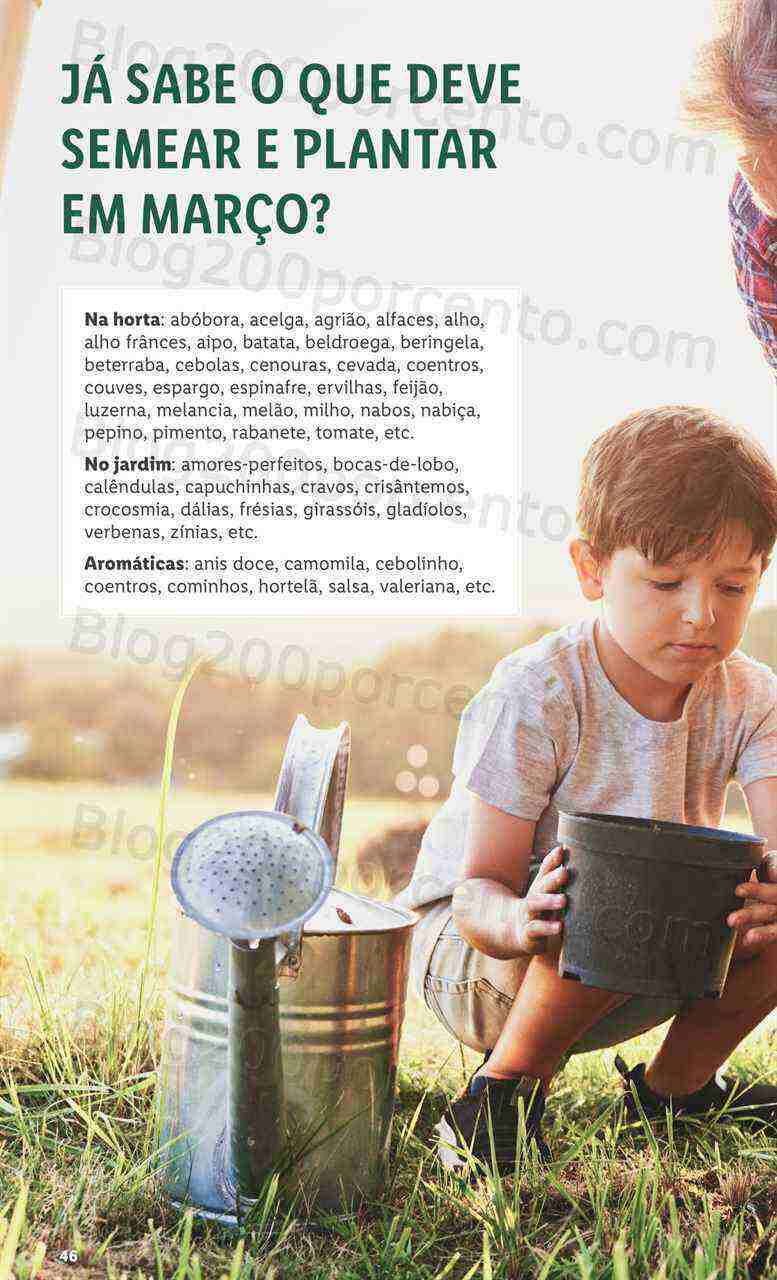 Antevisão Folheto LIDL Especial Jardim Promoções a partir de 2 março