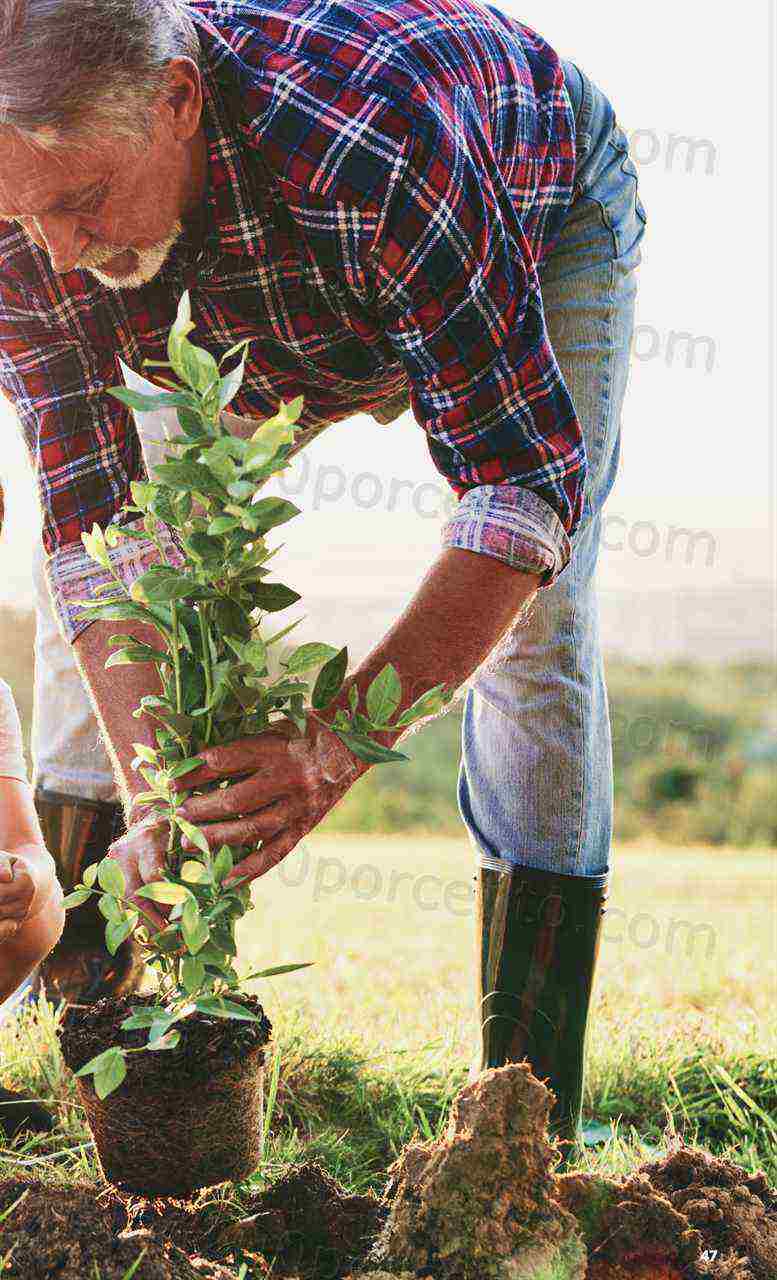 Antevisão Folheto LIDL Especial Jardim Promoções a partir de 2 março