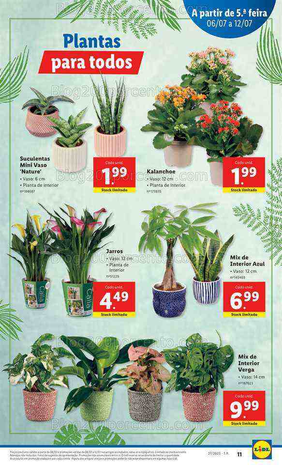 Antevisão Folheto LIDL Mercado de Plantas Promoções de 6 a 12 julho
