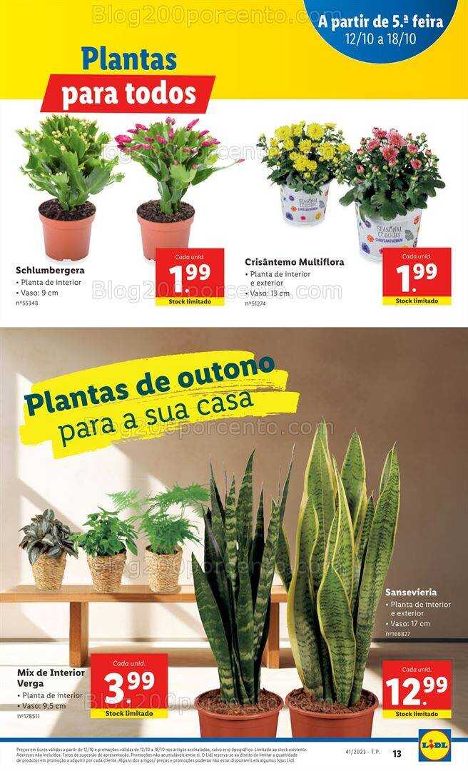 Antevisão Folheto LIDL Promoções de 12 a 18 outubro