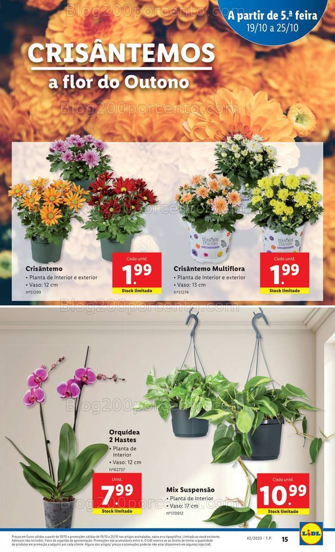 Antevisão Folheto LIDL Mercado de Plantas Promoções de 19 a 25 outubro