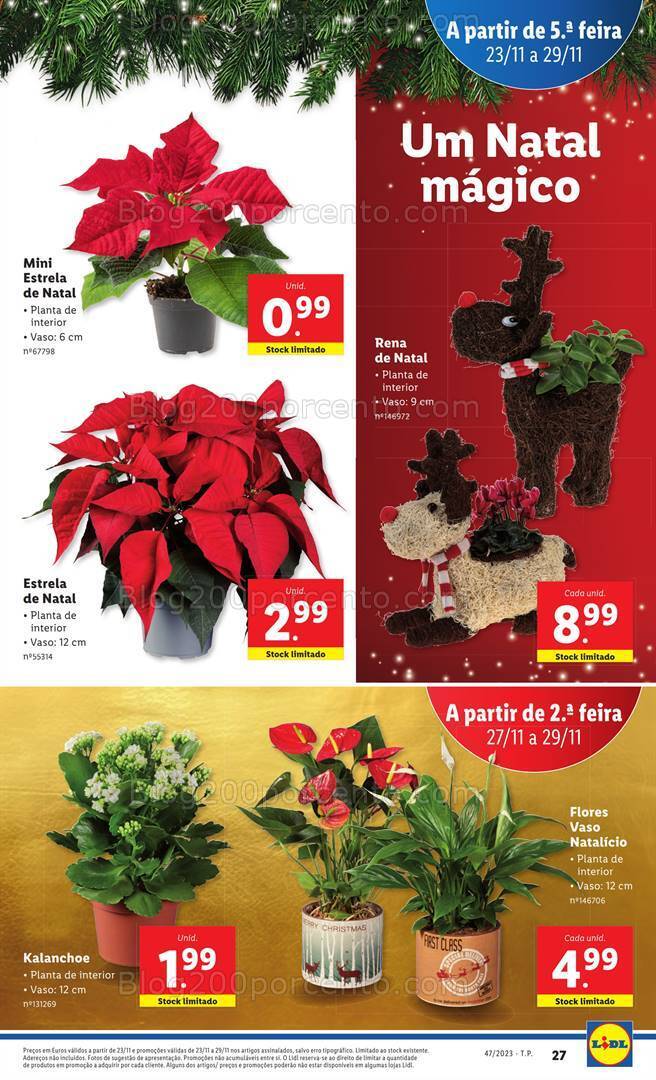 Antevisão Folheto LIDL Mercado de Plantas Promoções de 23 a 29 novembro
