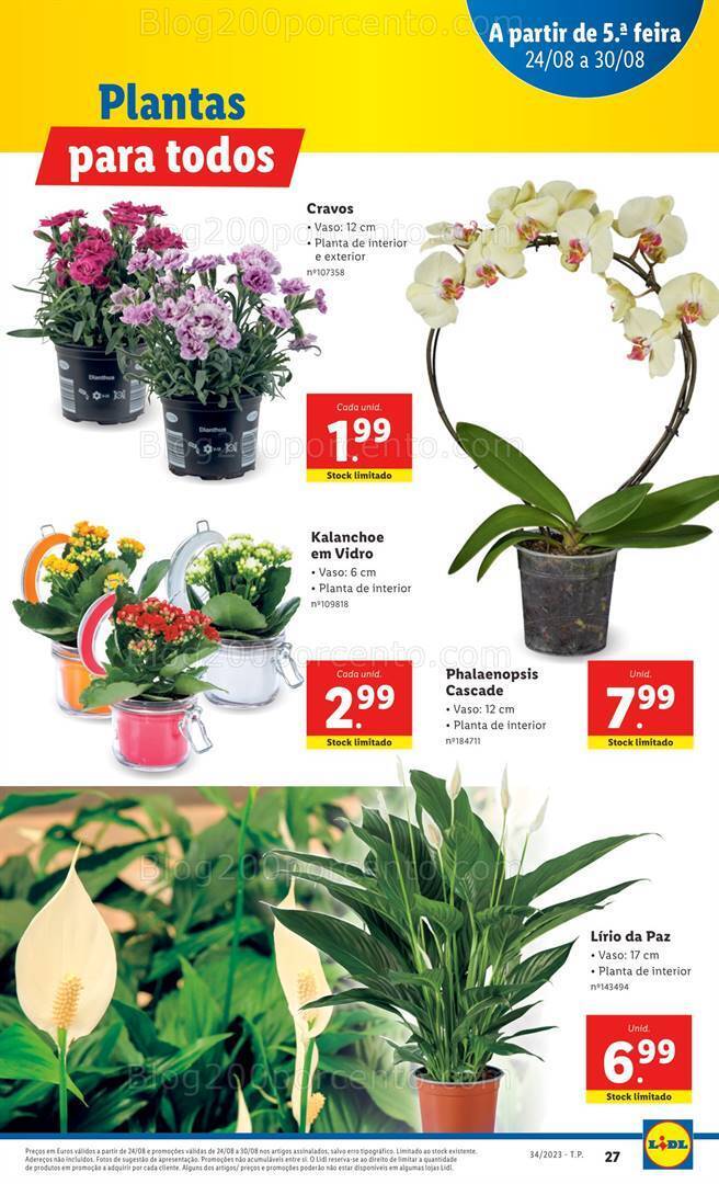 Antevisão Folheto LIDL Mercado de Plantas Promoções de 24 a 30 agosto
