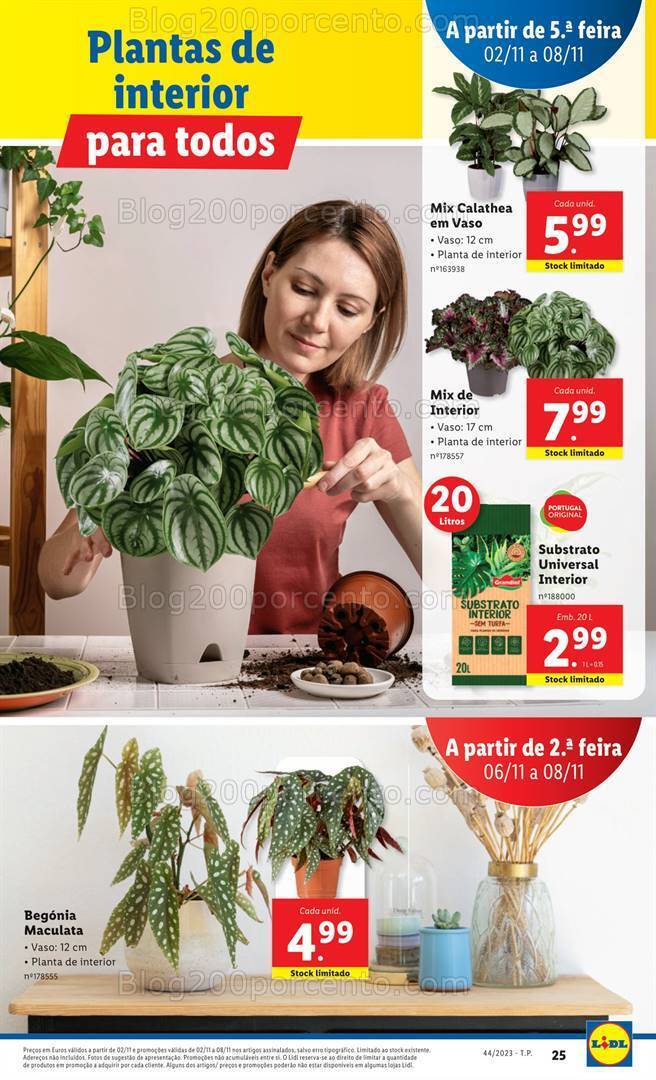 Antevisão Folheto LIDL Mercado de Plantas Promoções de 2 a 8 novembro