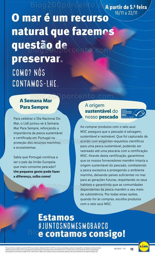 Antevisão Folheto LIDL Promoções de 16 a 22 novembro