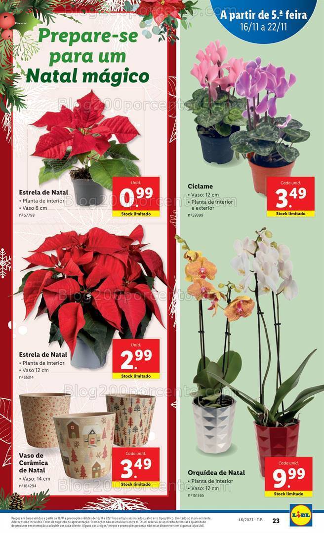 Antevisão Folheto LIDL Mercado de Plantas Promoções de 16 a 22 novembro