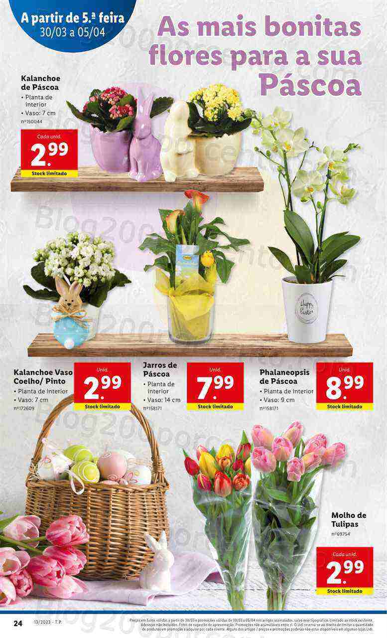 Antevisão Folheto LIDL Mercado de Plantas Promoções de 30 março a 5 abril
