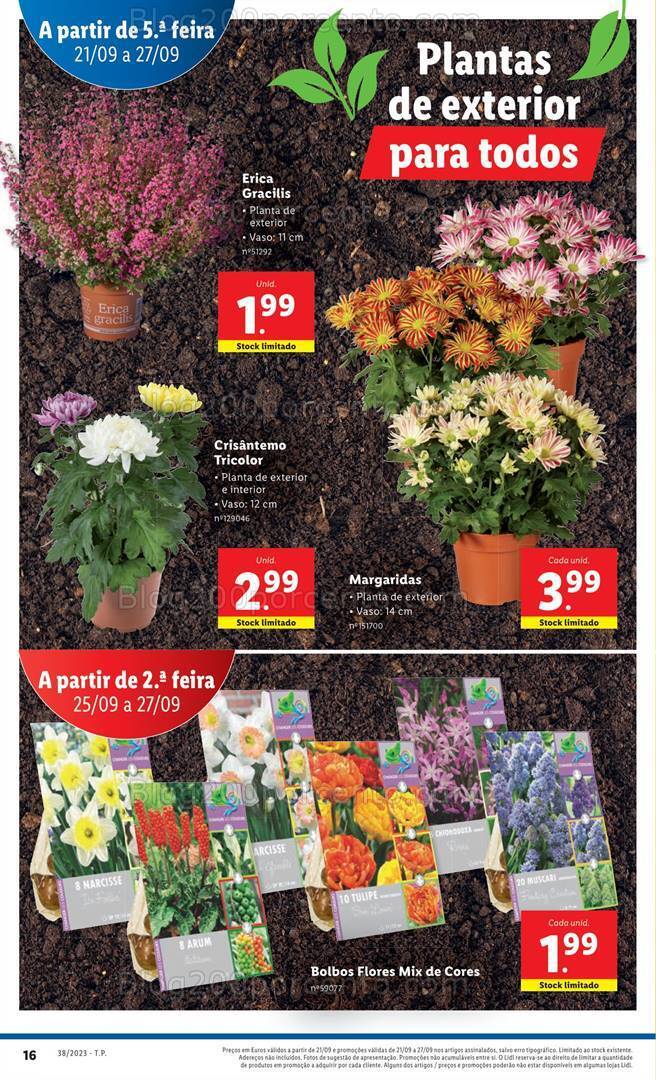Antevisão Folheto LIDL Mercado de Plantas Promoções de 21 a 27 setembro
