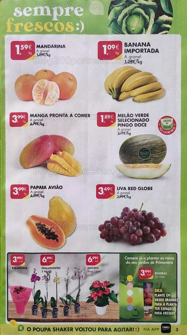 Antevisão Folheto PINGO DOCE Promoções de 9 a 15 janeiro