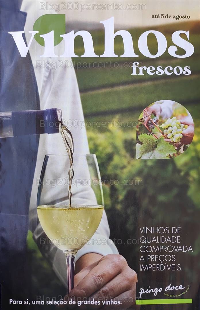 Antevisão Folheto PINGO DOCE Vinhos Promoções de 16 julho a 5 agosto