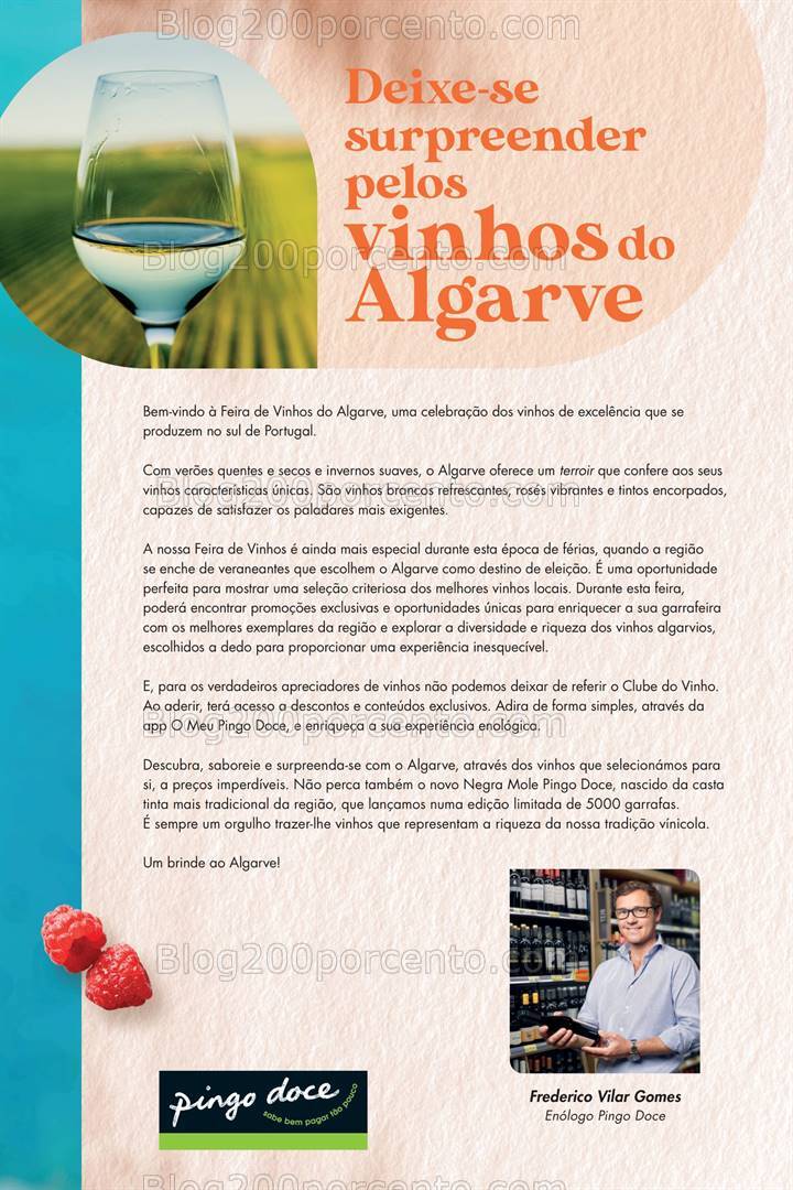 Antevisão Folheto PINGO DOCE Vinhos Promoções de 6 a 19 agosto